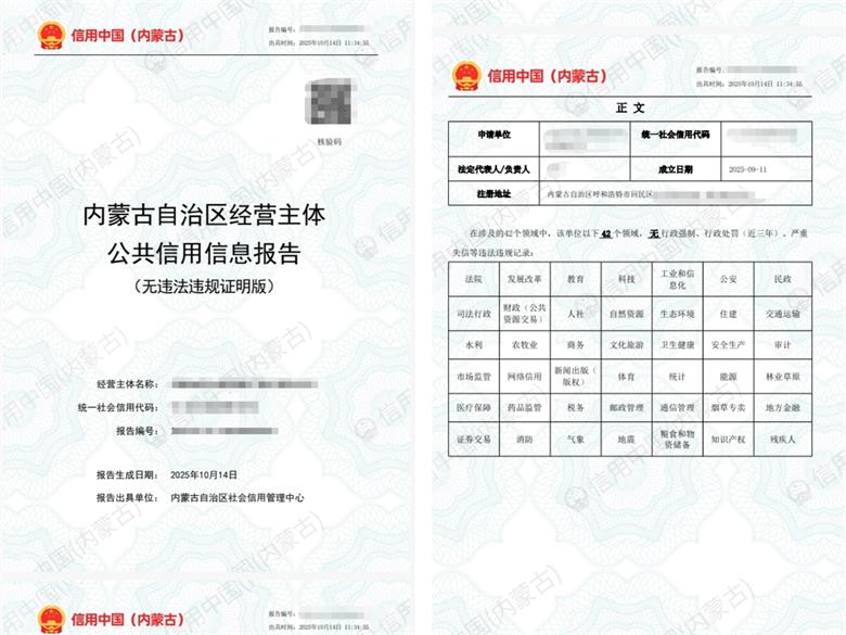 呼和浩特市回民区：企业“电子信用身份证”轻松在线办理