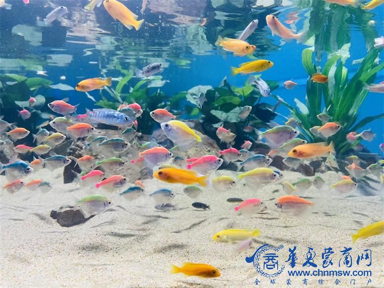 微信图片_20230909120009.jpg