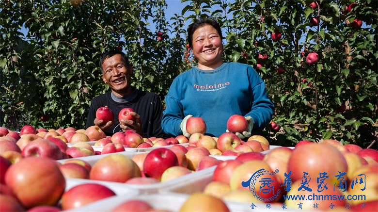 1761479258764376.jpg 微信图片_20251026193539_20_3673.jpg