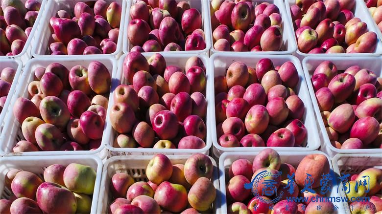 1761479267980433.jpg 微信图片_20251026193555_21_3673.jpg